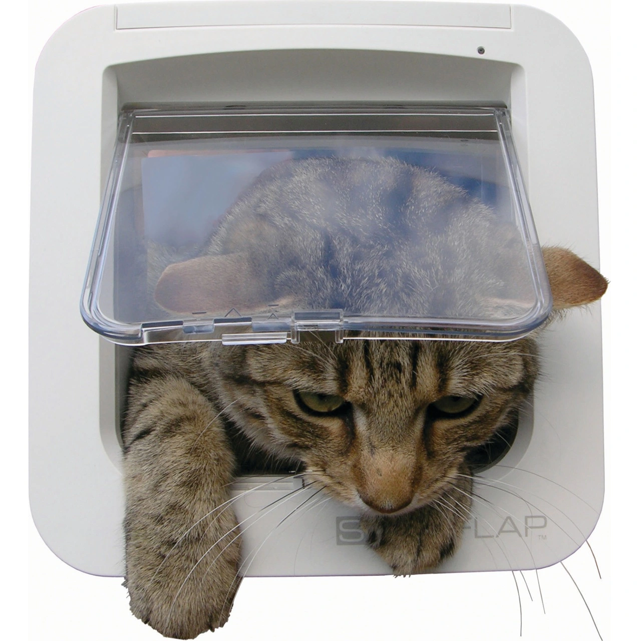 Sureflap kattelem med microchipfunktion Hvid